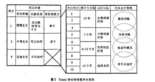 TOMITA评分.jpg