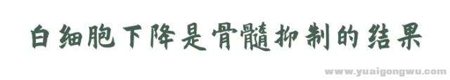 微信图片_20200703092916.jpg
